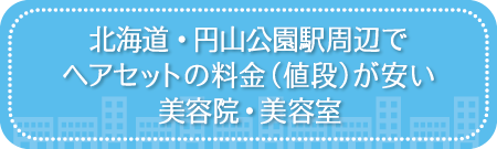 北海道・円山公園駅周辺でヘアセットの料金(値段)が安い美容院・美容室