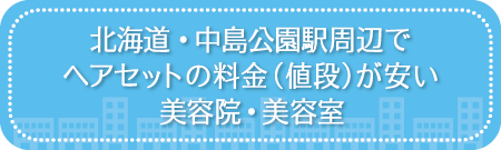 北海道・中島公園駅周辺でヘアセットの料金（値段）が安い美容院・美容室