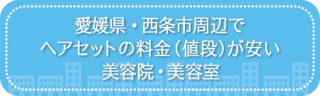 愛媛・西条市周辺でヘアセットの料金（値段）が安い美容院・美容室・セットサロン