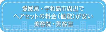 愛媛・宇和島市周辺でヘアセットの料金（値段）が安い美容院・美容室・セットサロン