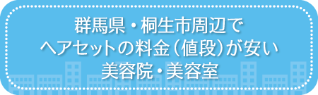 群馬・桐生市周辺でヘアセットの料金(値段)が安い美容院・美容室・セットサロン