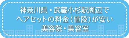 神奈川・武蔵小杉駅周辺でヘアセットの料金（値段）が安い美容院・美容室・セットサロン
