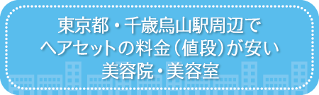 東京・千歳烏山駅周辺でヘアセットの料金(値段)が安い美容院・美容室・セットサロン